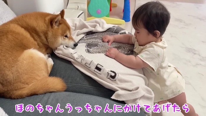 「うにくんにかけてあげたら？」