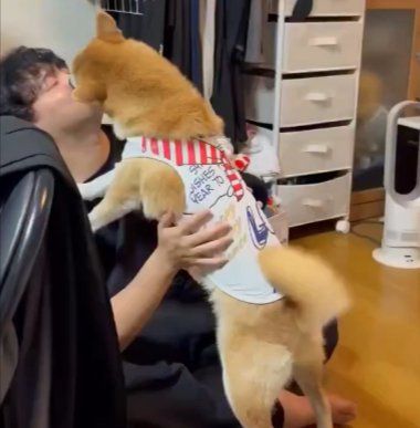 義兄