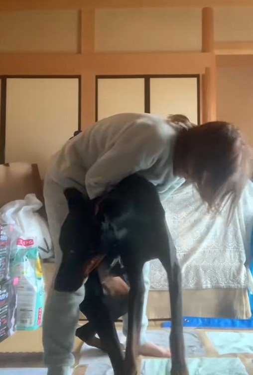 タイソンくんが回復するまで4