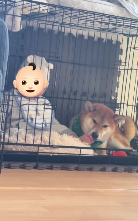 今日は巣ごもり♡