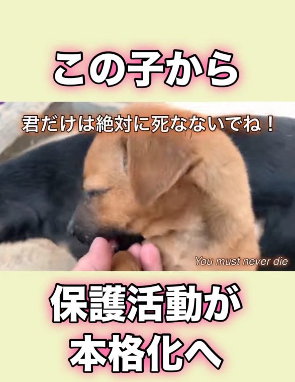 生きていてくれてありがとう