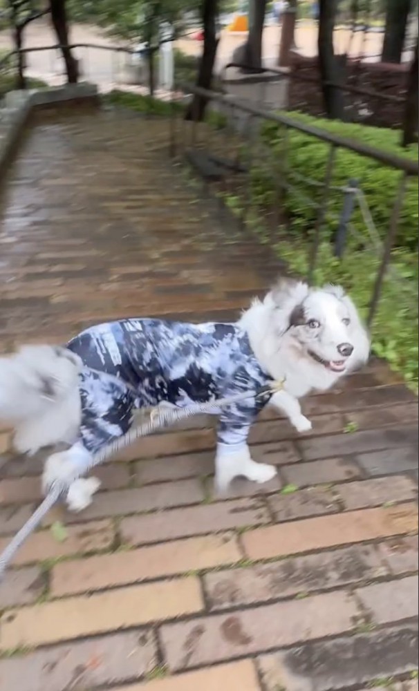 切り替え
