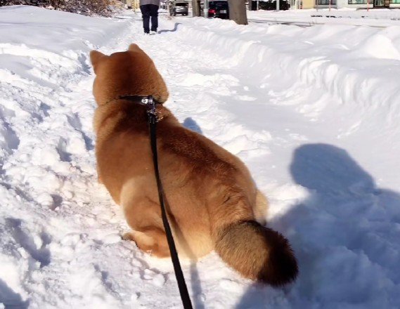 何かを感じているの?