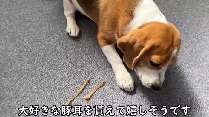 出勤前のママさんとメイちゃん7