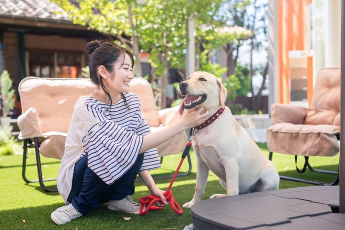 スキンシップを楽しむ女性と犬