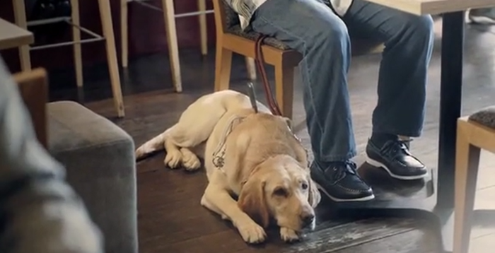 guidedogs2