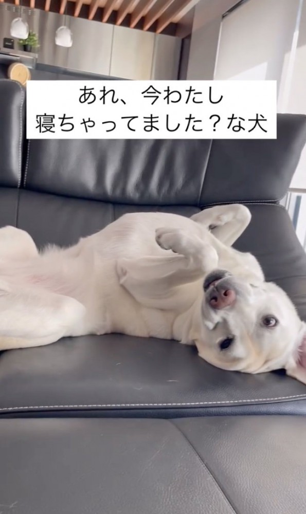 フリーズ中…