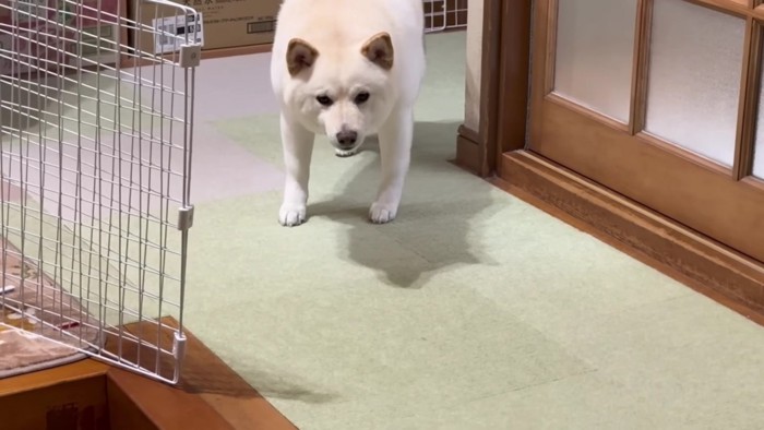「もう帰っちゃうの?」