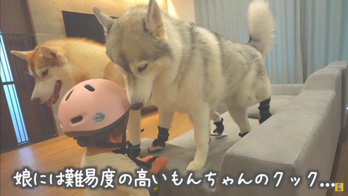 「1個なくなってるよ！」