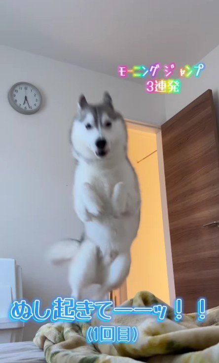 大ジャンプ！！