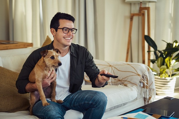 男性に抱っこされている犬