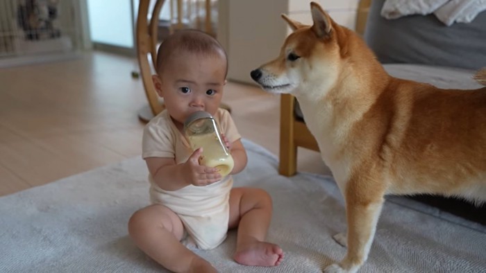 ミルクを飲む赤ちゃんと犬