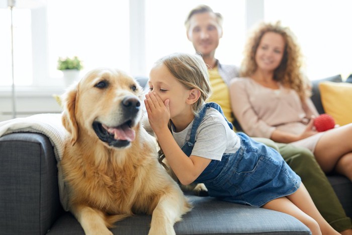 ソファーの上で家族と仲良く過ごす犬