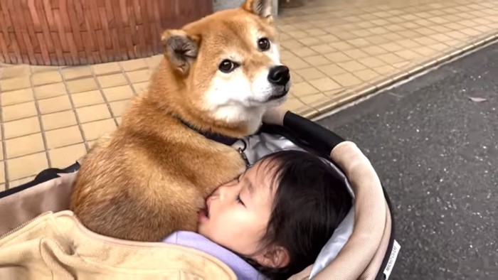 ママさんを見る花子ちゃん