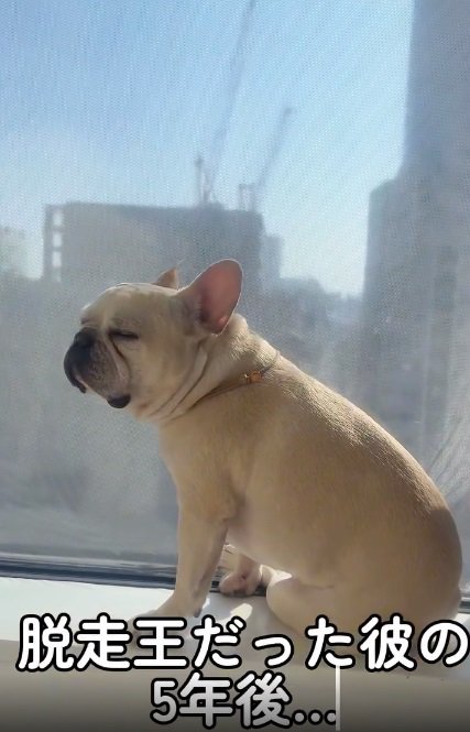 5年後のふく丸くん