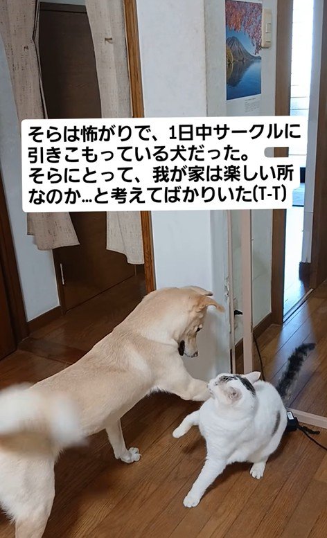 そらちゃんの変化5