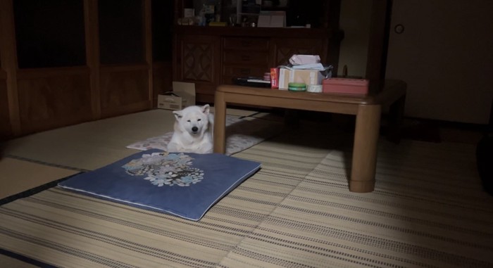 消灯時間