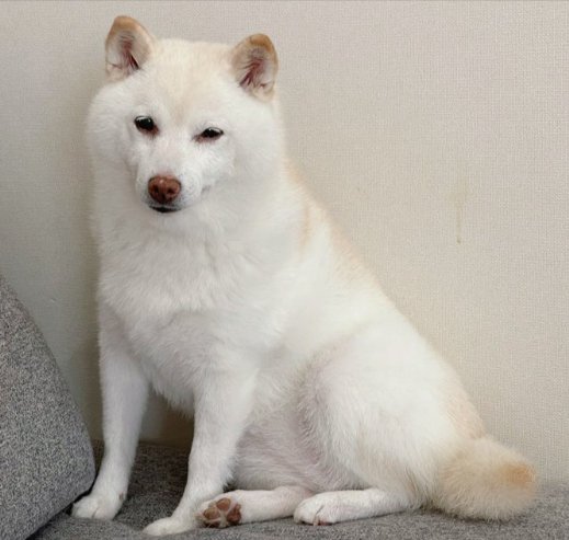 凛々しい