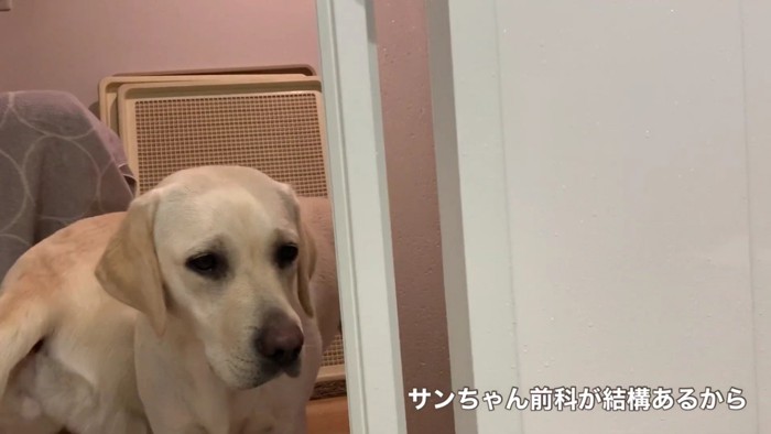イタズラしないかな？