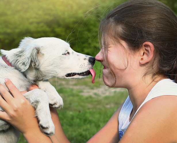 飼い主の顔を舐める犬