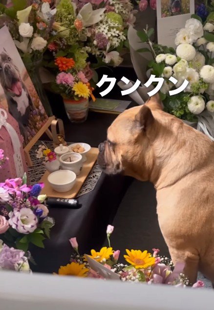 おやつが食べたい…