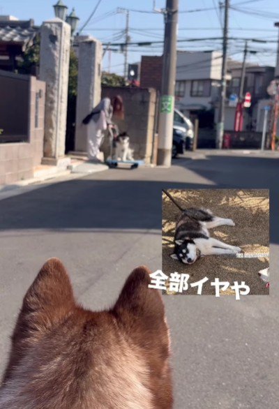 再登場したと思ったら…