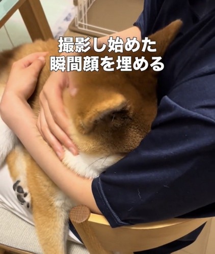 人の胸元に顔をうずめる犬