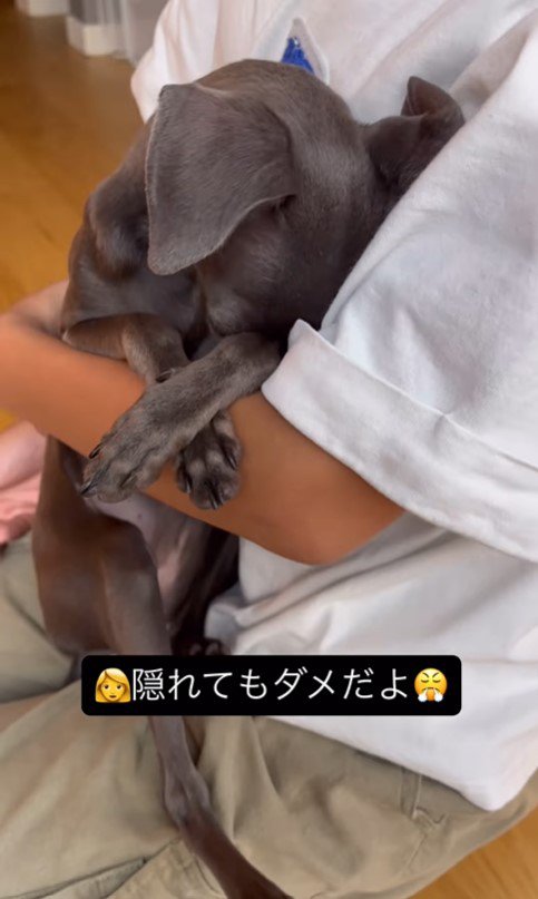 反省中のクッカちゃん9
