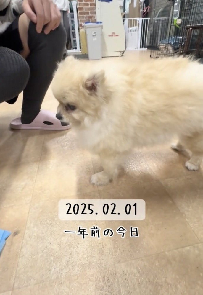 初めて出会った日