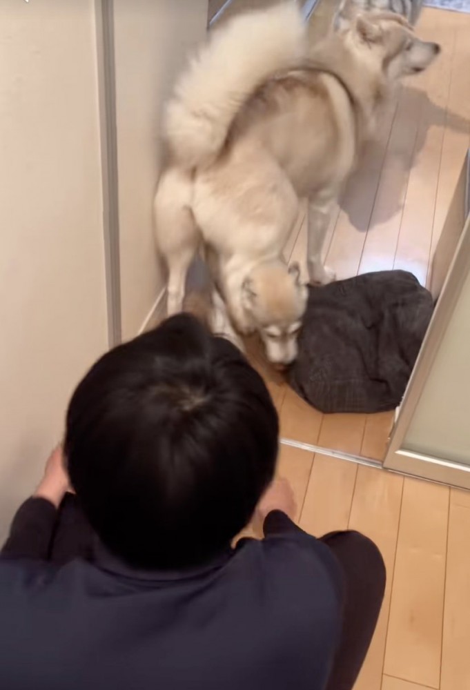ここちゃんの下をくぐります