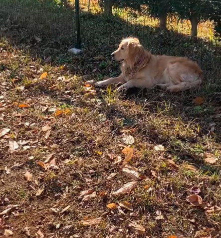 まったりと休憩