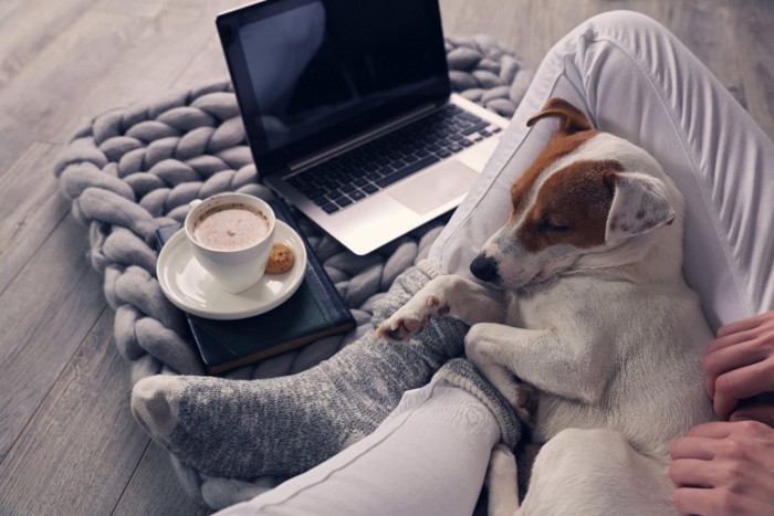 ソファーでくつろぐ女性と犬