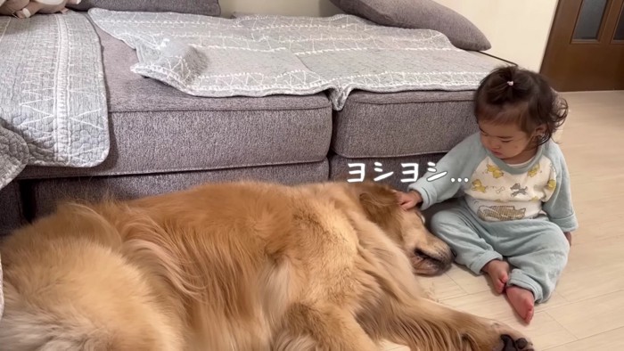 ほのちゃんがナデナデ