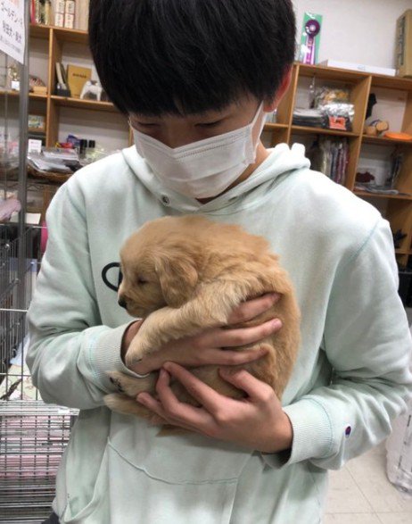 ピケちゃんとの出会い