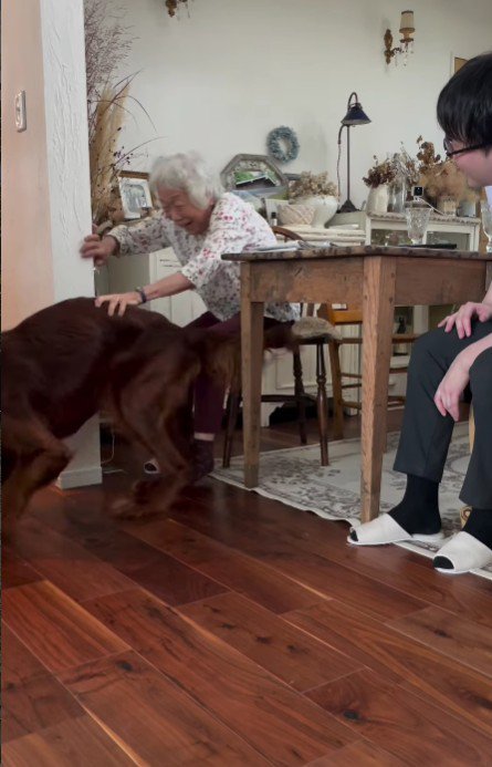 わんこと遊べて大喜び！！