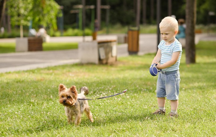 男の子と犬