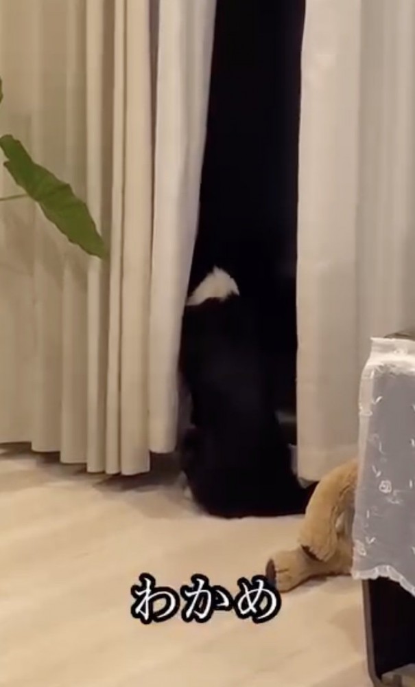 呼ばれた