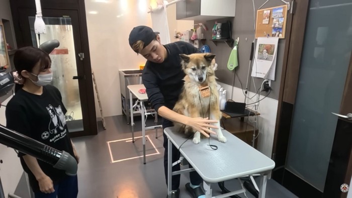 すぐに大人しくなりました