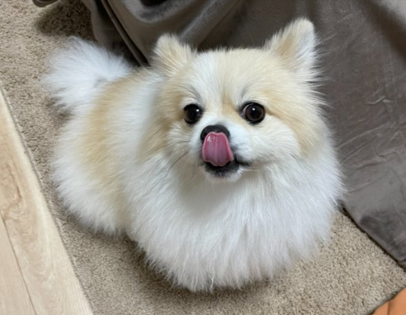 立派に成長