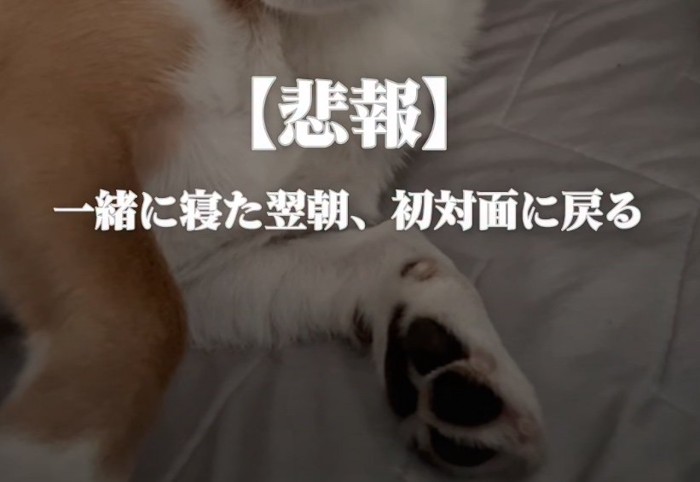 文字
