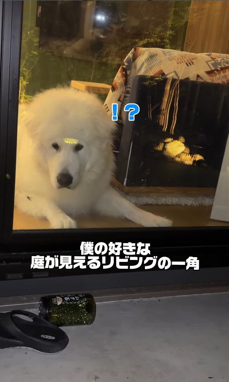 虫が寄ってきました