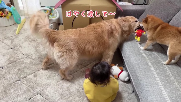 「これはほのちゃんのだよ！」