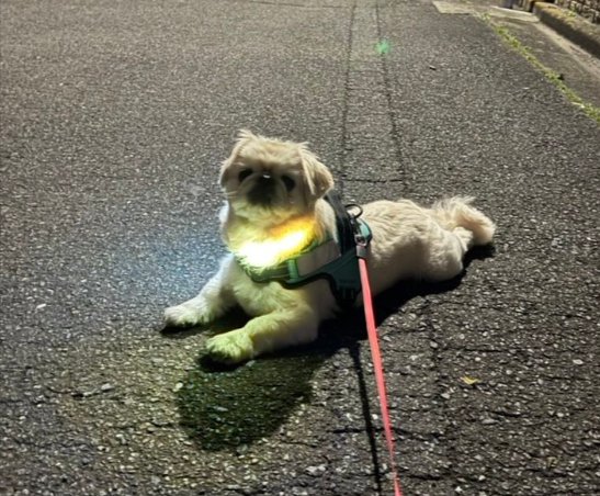 夜