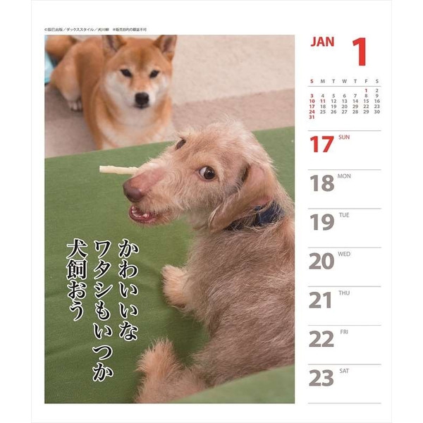 犬を飼いたい犬