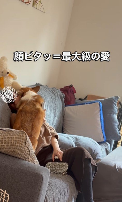 エルモちゃんのおもてなし6