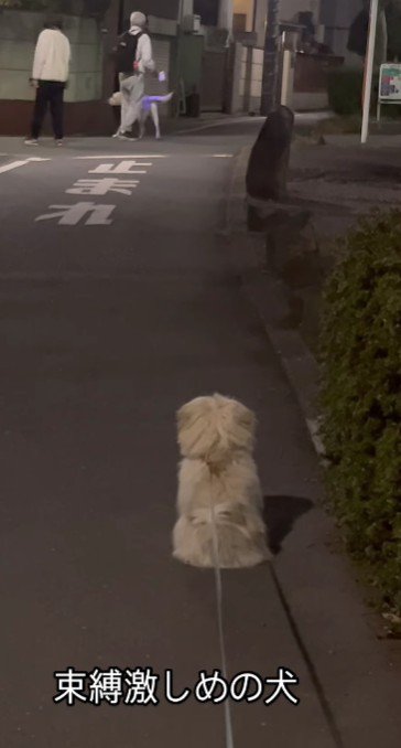「やっと終わったか…」