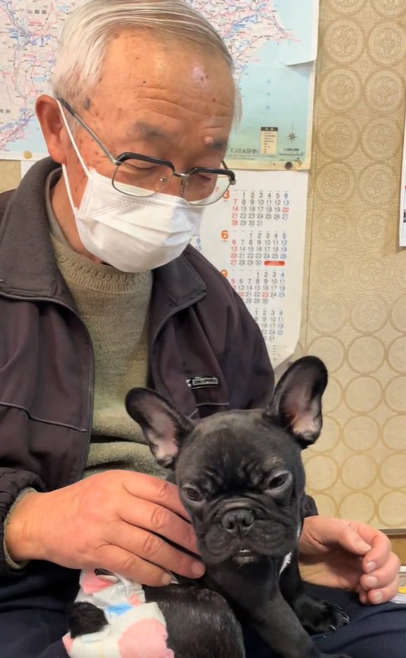 顔を上げたぶーちゃん