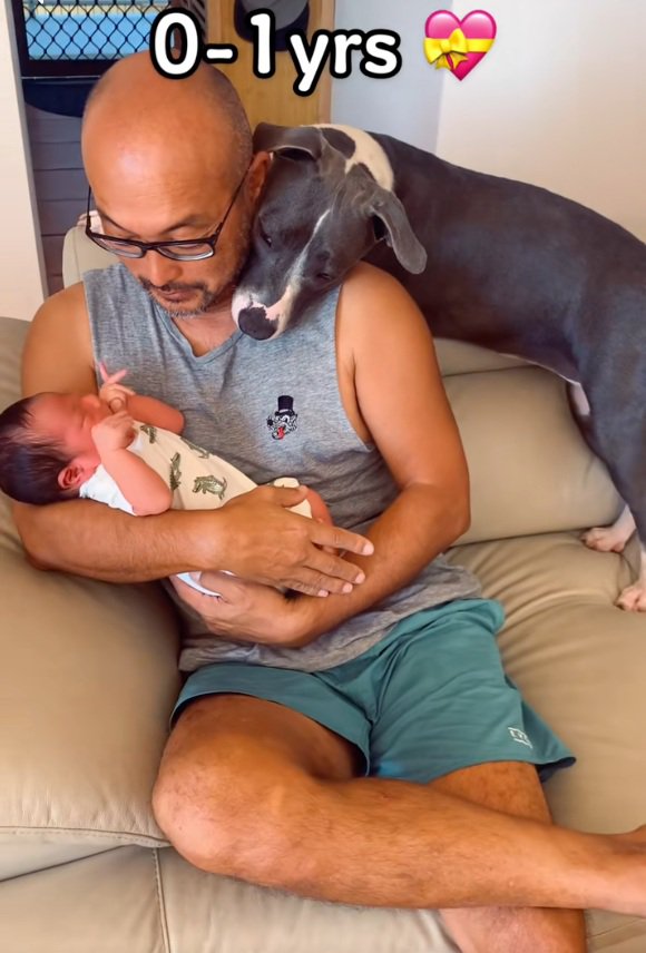 パパの背後からハリーくんを見守るゆめちゃん