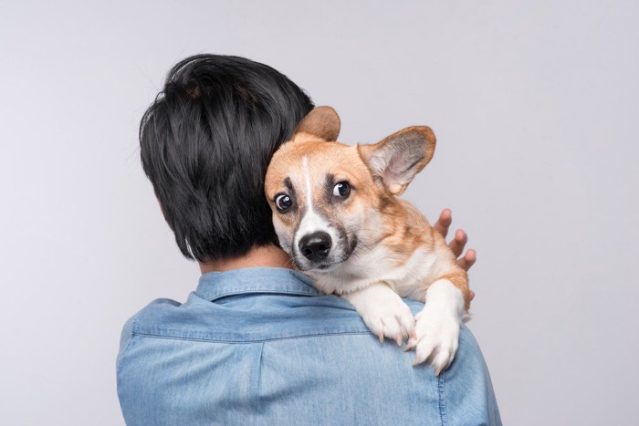 男性の肩に乗っている犬