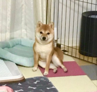 女子力